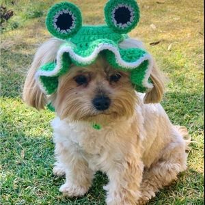 New crochet frog hat for dog or cat 🫶🏻
